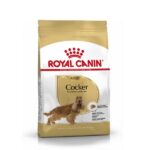 190509023650797 Hrana Za Kuchinja Royal Canin Cocker Adult Royal Canin Adult Cocker 1.jpg