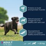 Eukanuba Adult Large Breed Key Benefits 1.jpg