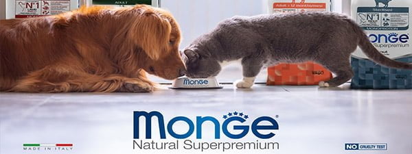 monge-home-banner