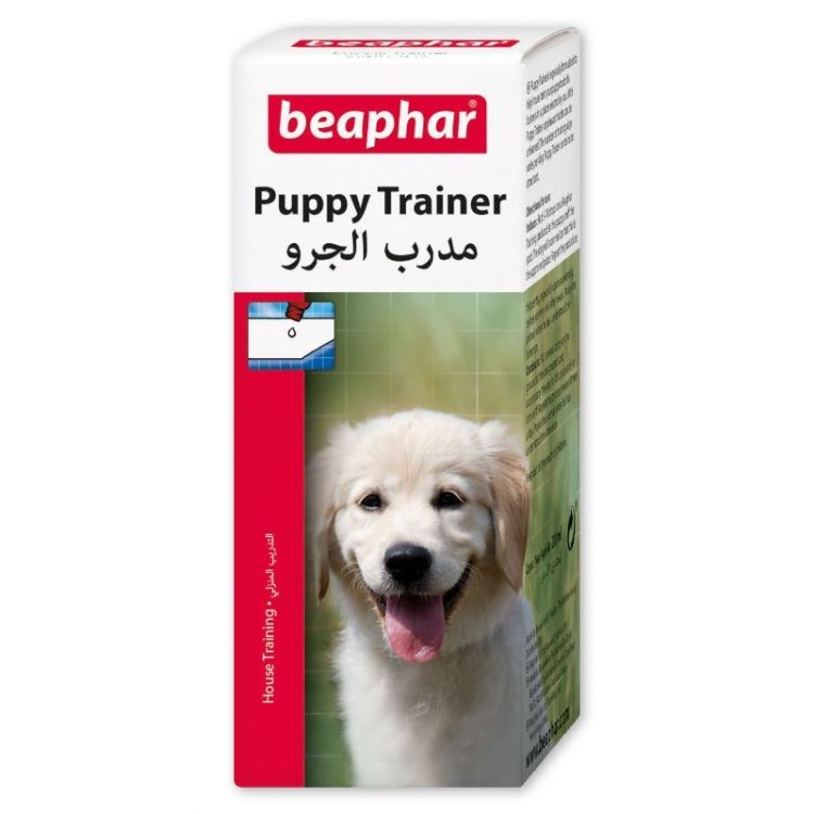 Bea Puppy Trainer 003 750x750