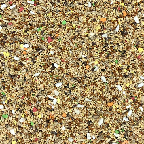 40002 Budgie Special Mix 1kg 2