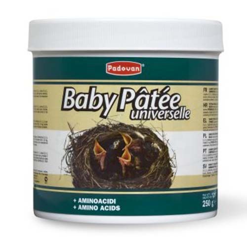 Baby Pate