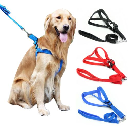Foam Padded Dog Harness Durable Dogs Pet Harnesses Leash Set For Small Medium And Large Dogs